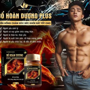 Bổ Hoàn Dương PLUS Chính Hãng - Sìn Sú Tây Nguyên Sìn Sú Tây Nguyên - Sìn Sú Tây Nguyên